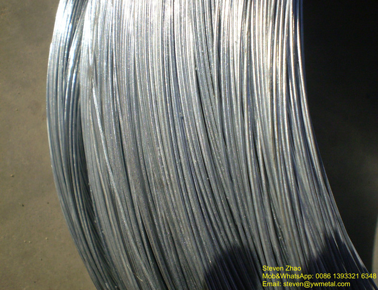 Direct Manufacturer in Dingzhou 1.16mm BWG18 Galvanized Fishing Net Wire with Factory Price